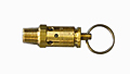 Safety Valve Safety Valve